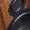 varieties of speakers